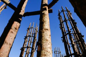 Cattedrale Vegetale di Giuliano Mauri: a Lodi il nuovo progetto di Land Art