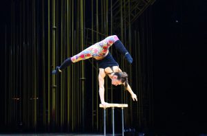 Cirque du Soleil: il dietro le quinte di Varekai, lo show più magico di sempre