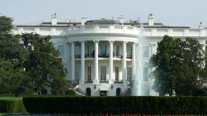 Elezioni Usa 2016, quando e come seguire la diretta del voto americano