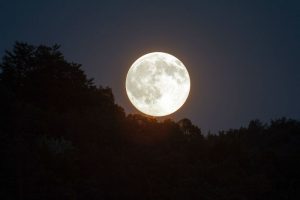 Super Luna novembre 2016, sarà la più luminosa degli ultimi 68 anni
