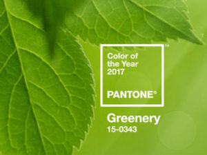 Pantone, il colore del 2017