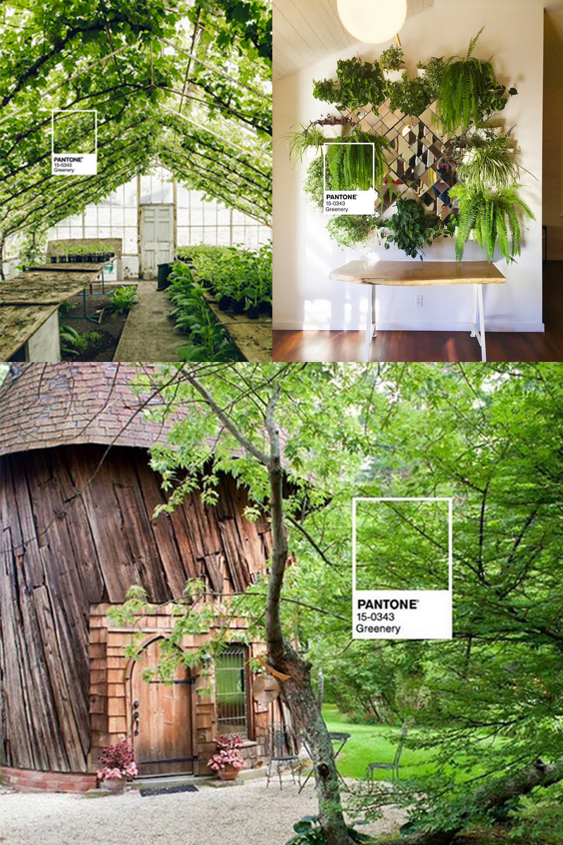 Pantone Color of the Year 2017 - Greenery (codice 15-0343)