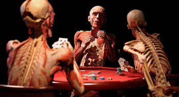 Real Bodies, scopri il corpo umano - Milano