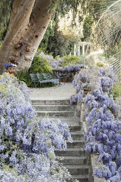 villa della pergola alassio, villa della pergola visite, villa della pergola giardini,