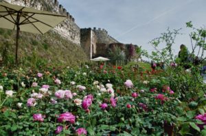 Fiori nella Rocca 2017: raffinata rassegna di fiori rari nella cornice unica nella Rocca di Lonato del Garda