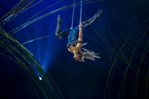 Cirque du Soleil Roma 2017 Amaluna: biglietti, date e info del grande ritorno in Capitale