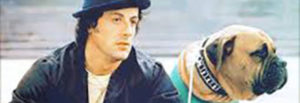 Sylvester Stallone: “Sono stato così povero da dovermi vendere il cane per 37 dollari”