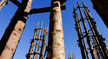 cattedrale vegetale Lodi