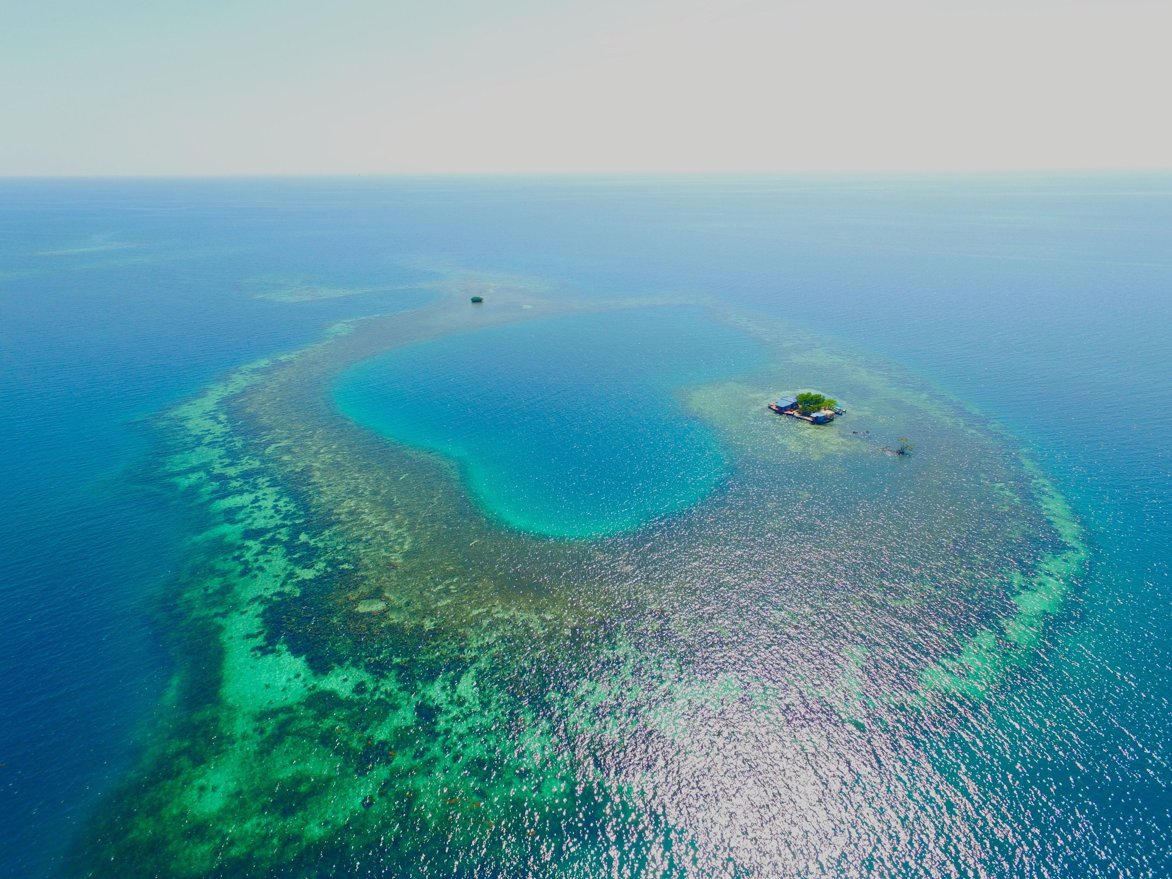 05-bird-island_belize_hometogo