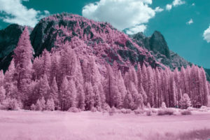 La natura ad infrarossi: lo spettacolo del Parco Nazionale di Yosemite