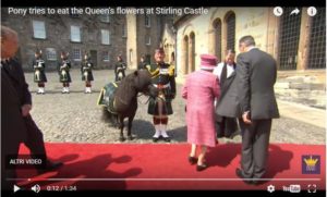 La regina Elisabetta e la sgridata divertentissima al pony che le mangia i fiori (foto)