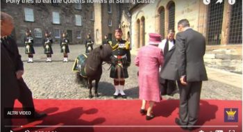 La regina Elisabetta e la sgridata divertentissima al pony che le mangia i fiori (foto)