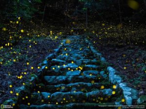 National Geographic 2017 Travel Photographer of the Year: gli scatti migliori