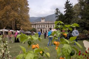 Orticolario 2017: Gilles Clément riceve il premio “Per un Giardinaggio Evoluto 2017”