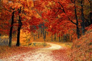 Vacanze autunno 2017: 5 mete dove ammirare i colori dell’autunno