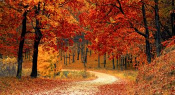 Vacanze autunno 2017: 5 mete dove ammirare i colori dell’autunno