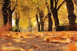 Equinozio d’autunno 2017: tradizioni, leggende e tutto quello che c’è da sapere