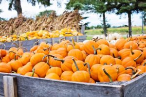 Halloween 2017: idee viaggio perfette per una vacanza tra brivido e relax