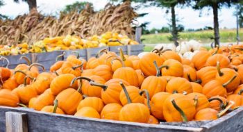 Halloween 2017: idee viaggio perfette per una vacanza tra brivido e relax