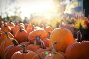 Halloween 2017 look: idee da “brivido” per l’outfit della notte delle streghe