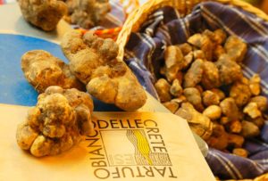 Mostra Mercato del Tartufo Bianco San Giovanni d’Asso 2017: il Diamante Bianco protagonista delle Crete Senesi