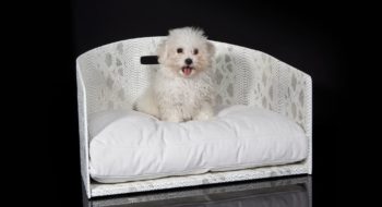 Shopping online: DoggyLy lancia il primo e-commerce di lusso di cucce e accessori per cani