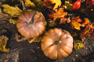 Giorno del Ringraziamento 2017: in America si celebra il Thanksgiving Day