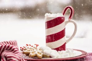 Eventi Roma Natale 2017: al via Christmas Food Truck Festival ad Albano Laziale