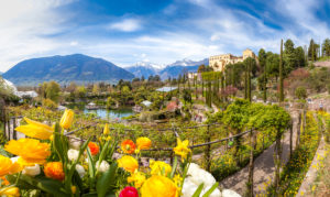 Idee di viaggio primavera 2018: i giardini di Sissi sono pronti a sbocciare