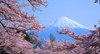 Hanami Giappone 2018: idee di viaggio per ammirare i ciliegi in fiore