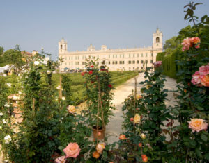 Eventi Parma 2018: nella splendida Reggia di Colorno torna la mostra mercato del giardinaggio di qualità