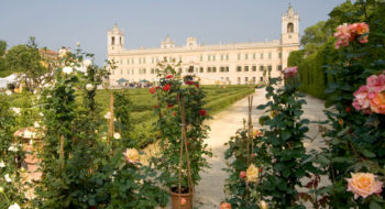 Eventi Parma 2018: nella splendida Reggia di Colorno torna la mostra mercato del giardinaggio di qualità