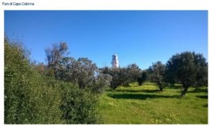 Musei 2018, la mostra archeologica al Capo Colonna di Crotone: lungo le coste della Calabria (FOTO)