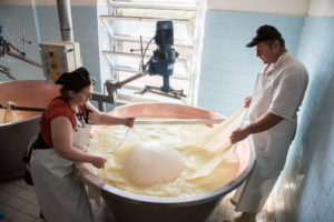 Cosa mangiare a Parma, capitale del Gusto