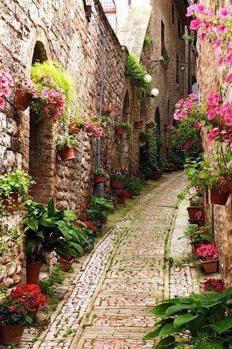 spello umbria | Luxgallery.it