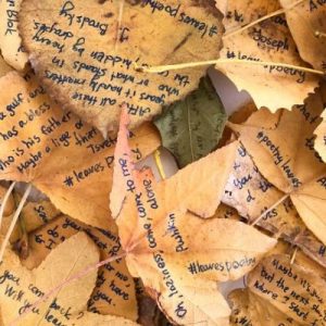 New York in autunno: la storia di Elena Zaharova, l’artista che scrive poesie sulle foglie cadute