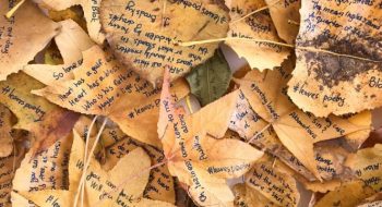 New York in autunno: la storia di Elena Zaharova, l’artista che scrive poesie sulle foglie cadute