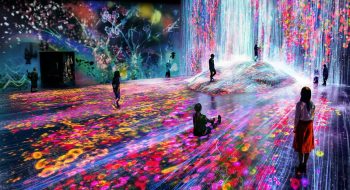 Mori Building Digital Art Museum, le splendide immagini del primo museo d’arte digitale di Tokyo