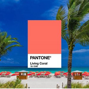 Tendenze primavera-estate 2019 moda, colori, musthave :  Pantone decreta il colore dell’anno