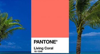 Tendenze primavera-estate 2019 moda, colori, musthave :  Pantone decreta il colore dell’anno