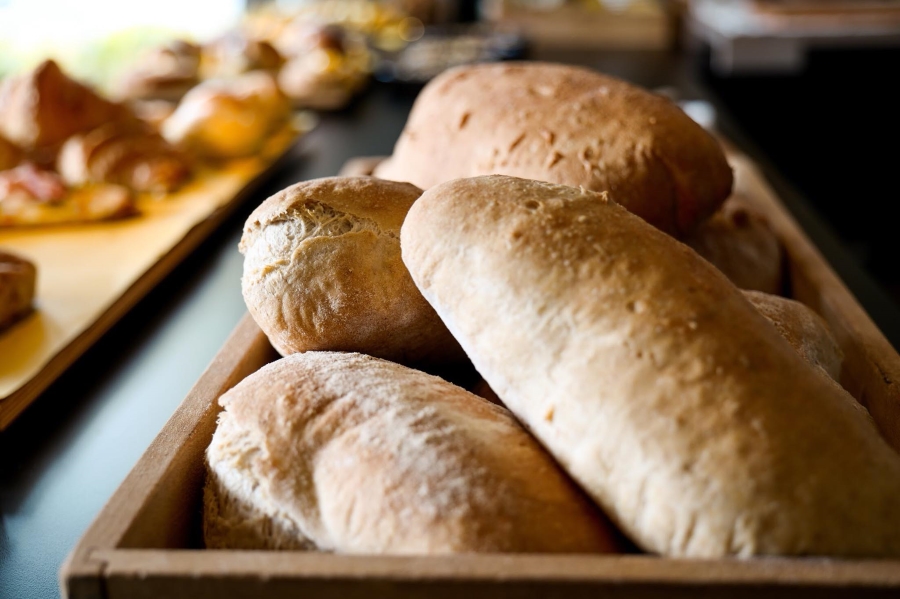 pane bologna 