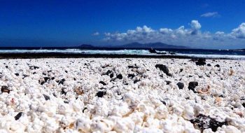 Canarie: si trova sull’isola di Fuerteventura la spiaggia che sembra fatta di pop corn