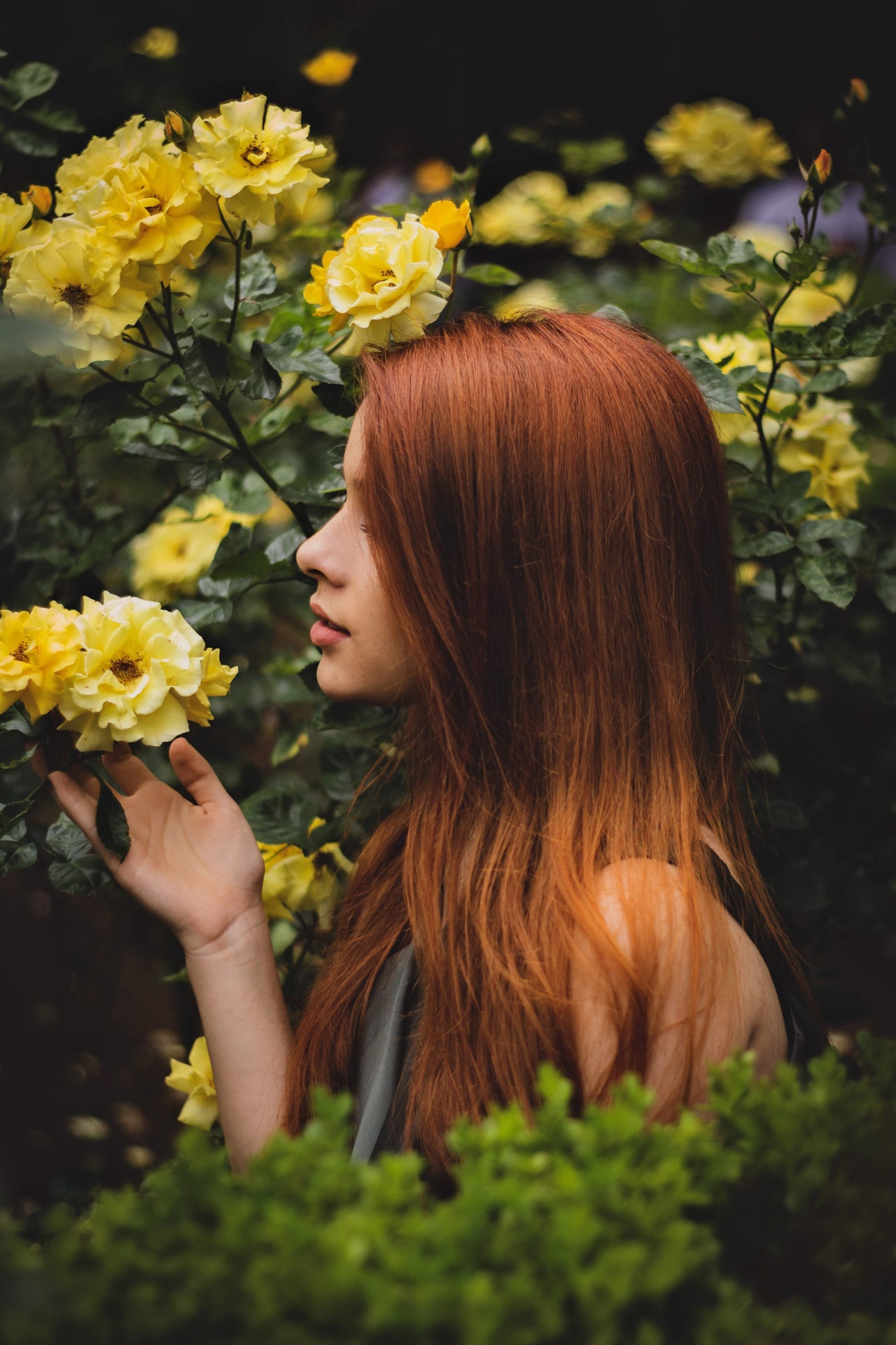 cannella capelli 2019