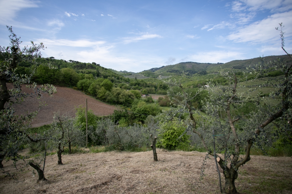 il casale di grimoli