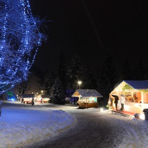 Mercatini di Natale 2019: Levico Terme e lo Snow Park al Family Resort Sonnwies
