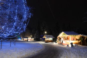 Mercatini di Natale 2019 Il parco dell'hotel Imperial con gli stand