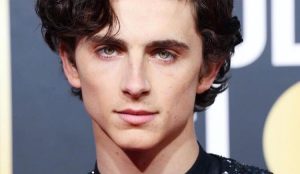 Timothée Chalamet sex symbol: il rubacuori che fa sognare le donne di tutte le età