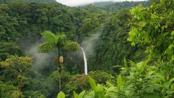 Un “sorso d’acqua” che costa 70 euro, in vendita il vapore in bottiglia dell’Amazzonia