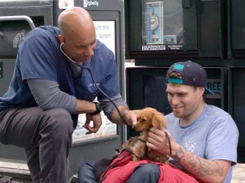 La grande umanità del veterinario Kwane Stewart, cura gratis gli animali dei senzatetto