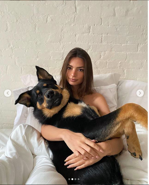 Ratajkowski Instagram: «Colombo è stufo delle mie coccole»